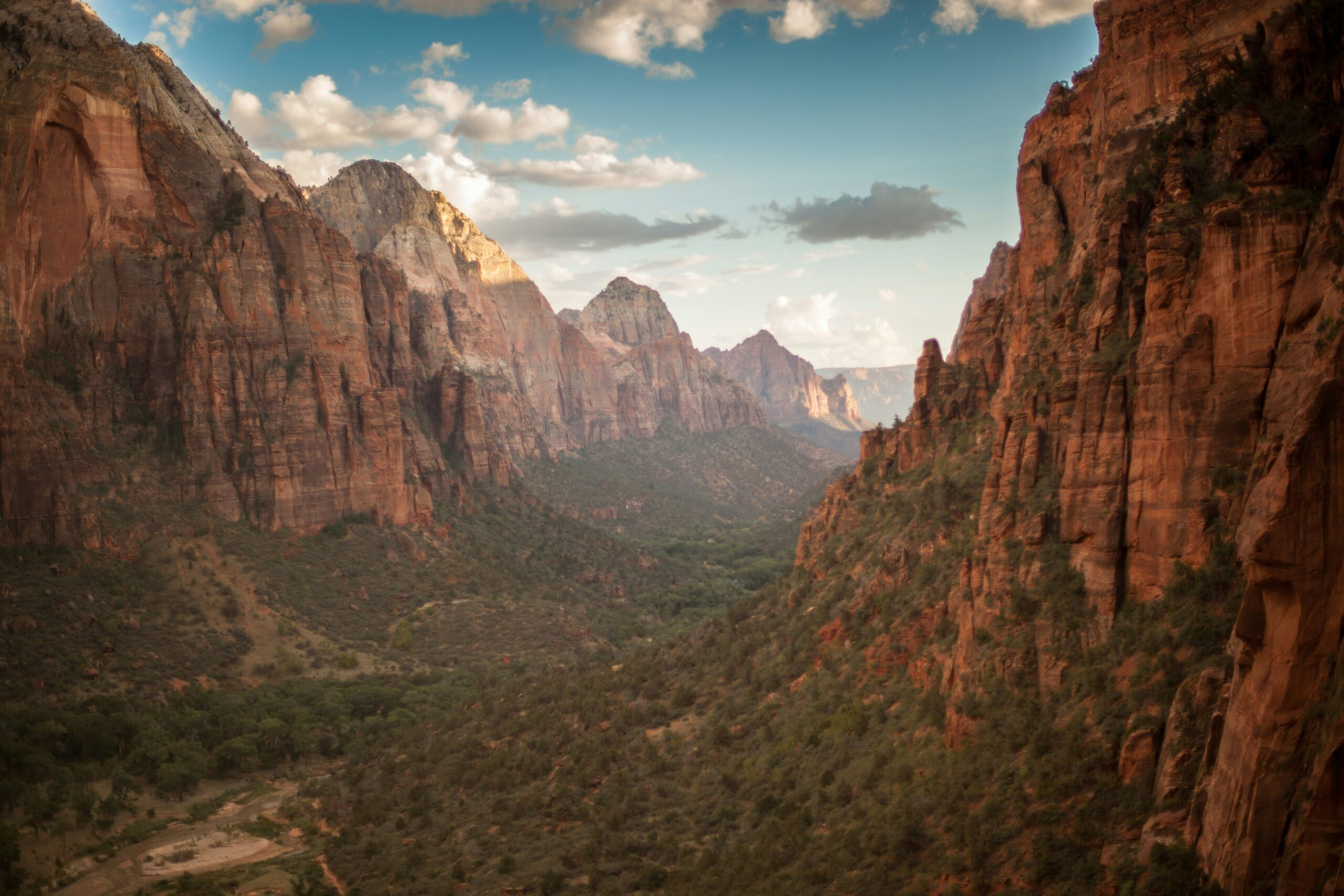 Nature’s crown jewels: An introduction to Natural World Heritage