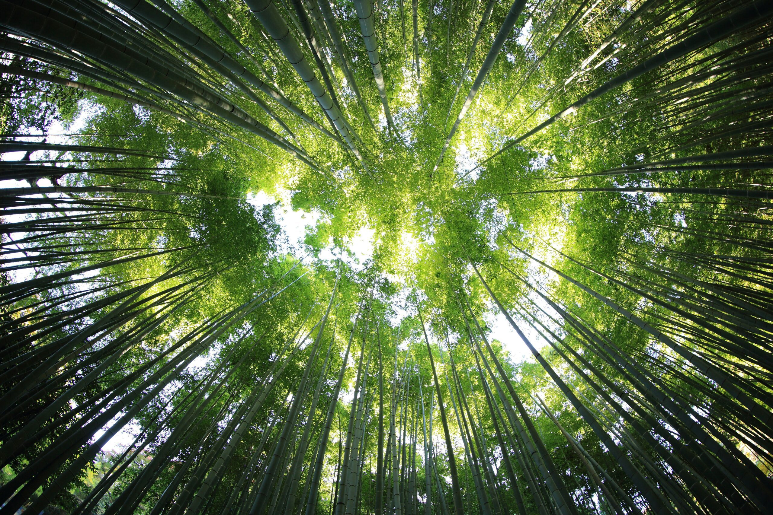 Introduction to Finance for Nature