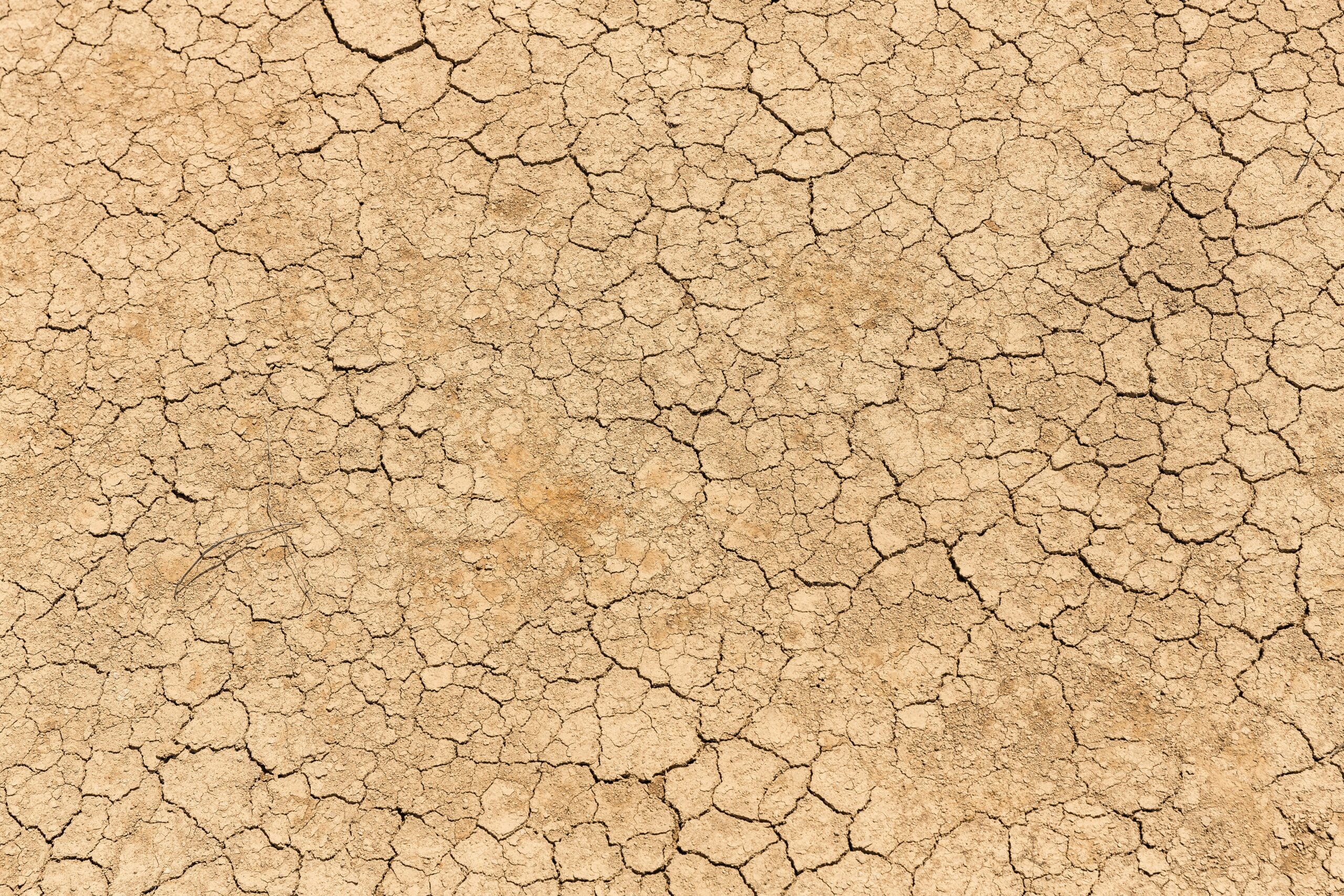 The Red List of Ecosystems for Assessors – Specialised Course