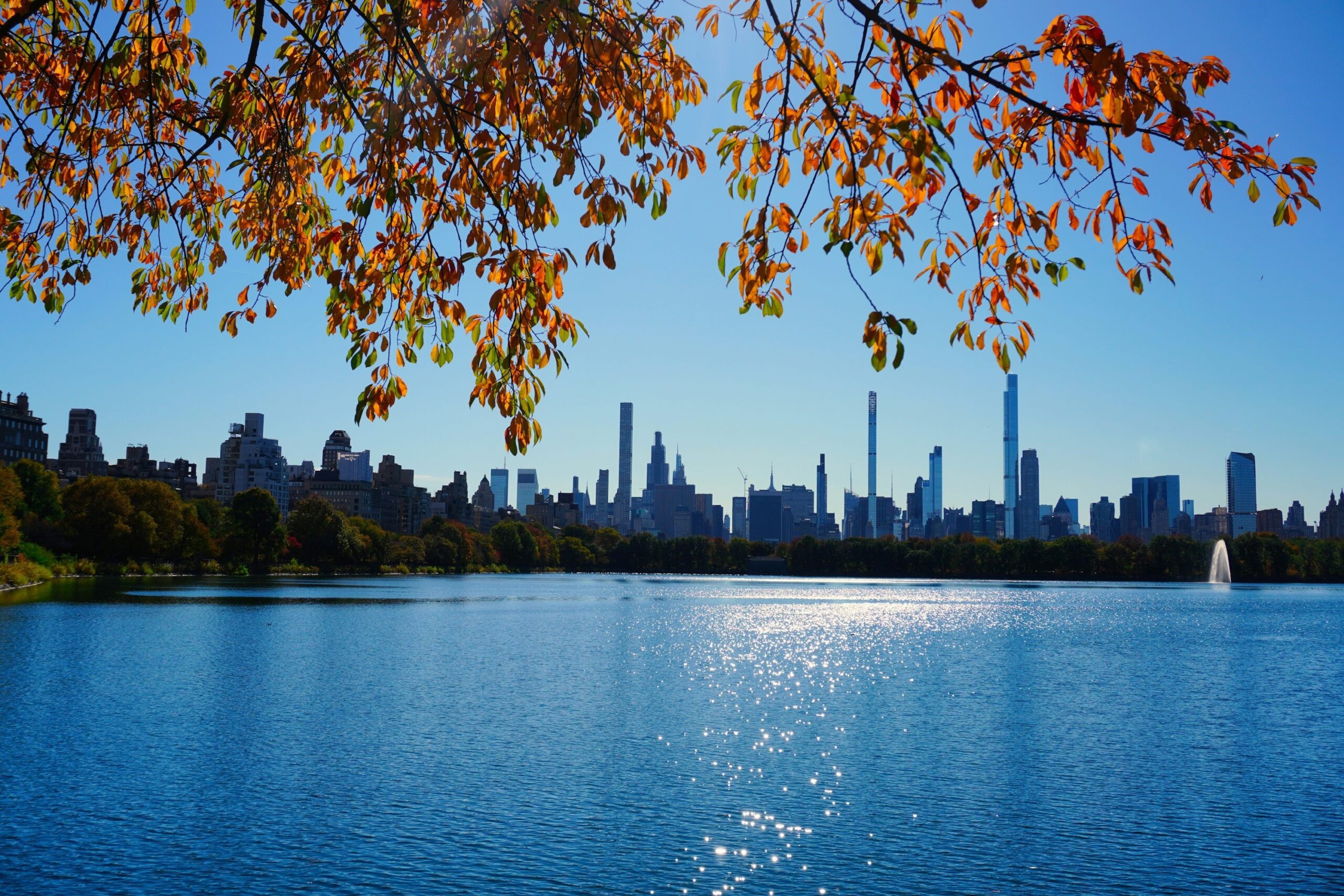 Introduction to Cities and Nature