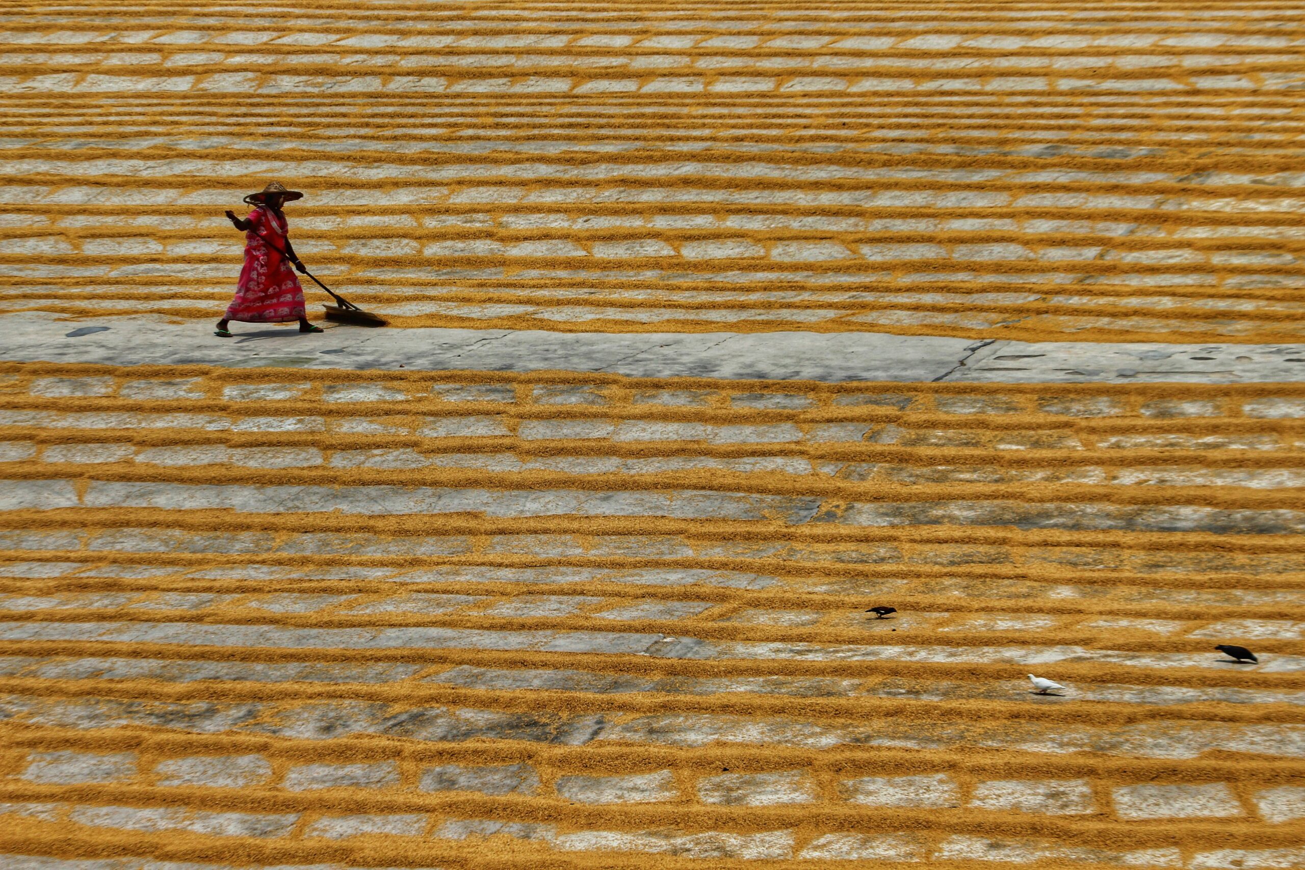 An Introduction to Integrating Gender in Environmental Programming