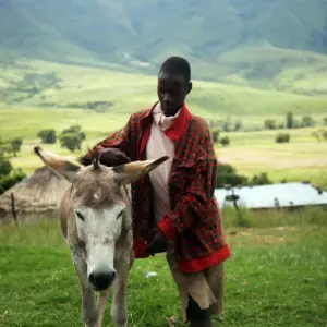 Introduction à la cartographie des priorités en matière de biodiversité